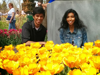 Photo of Among the Dutch- Holland 9/20 by Saakshi Kumar