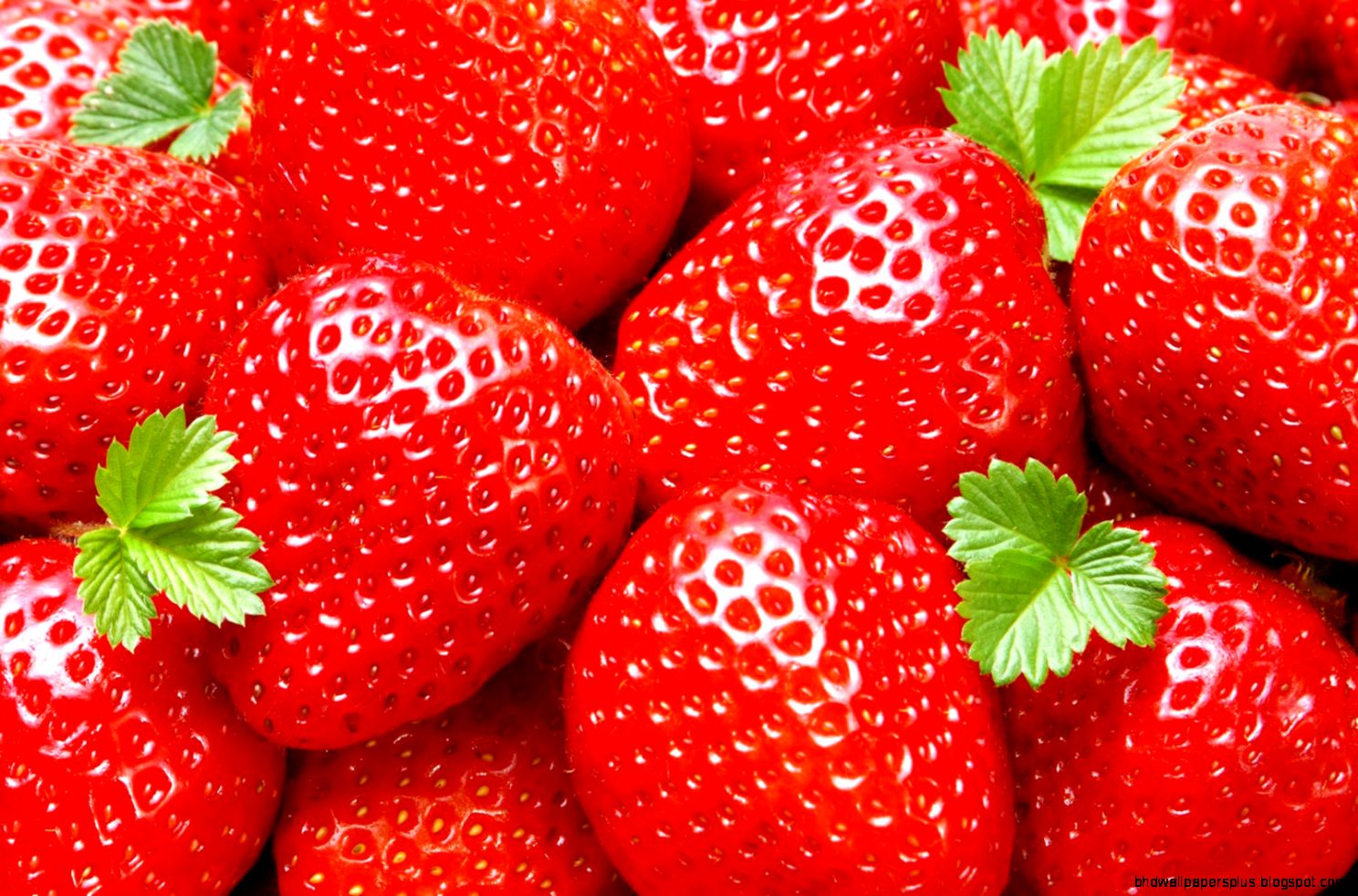 Strawberry Wallpapers Collection 28