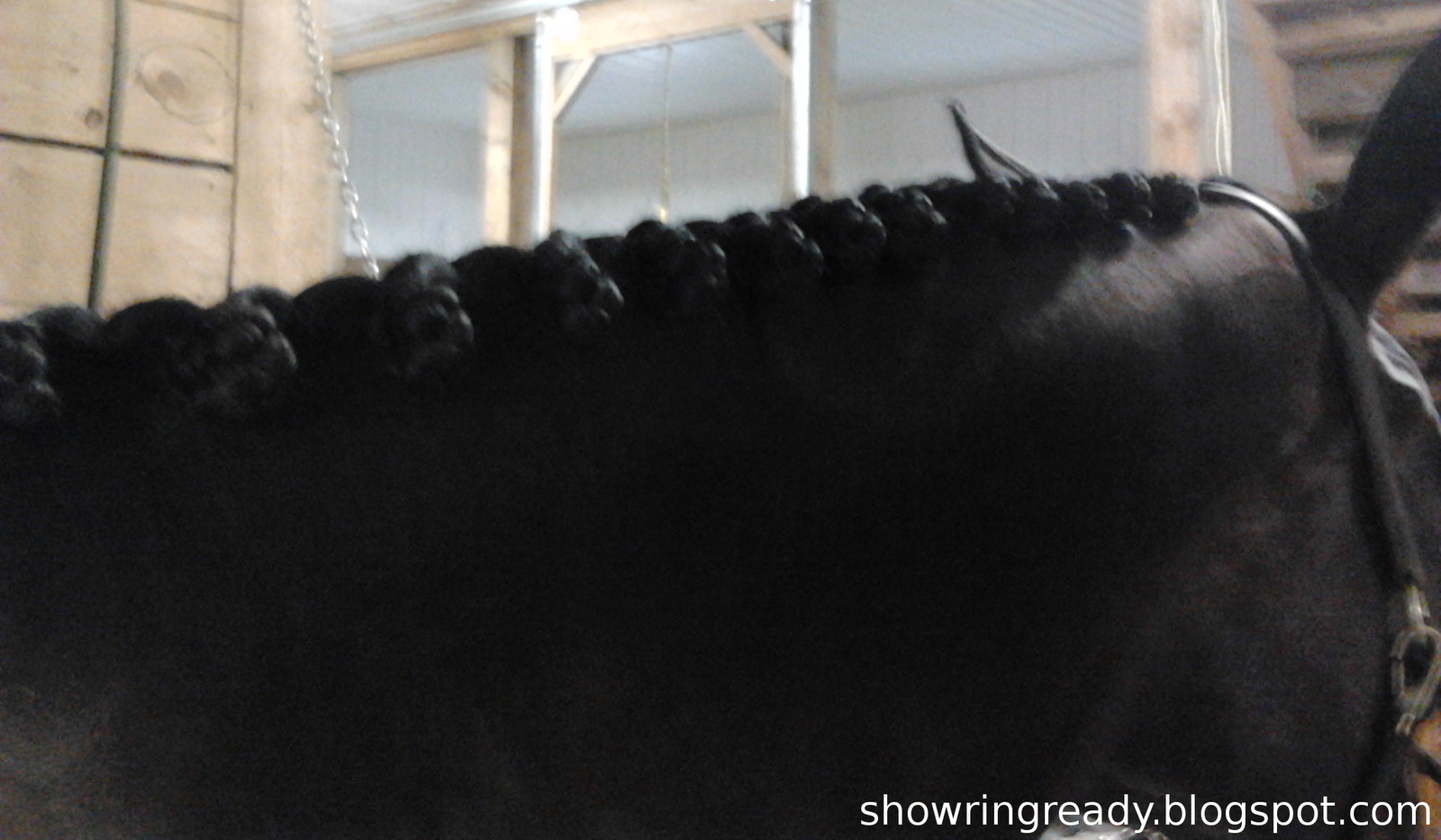 Show Ring Ready Foolproof Jumper Braids