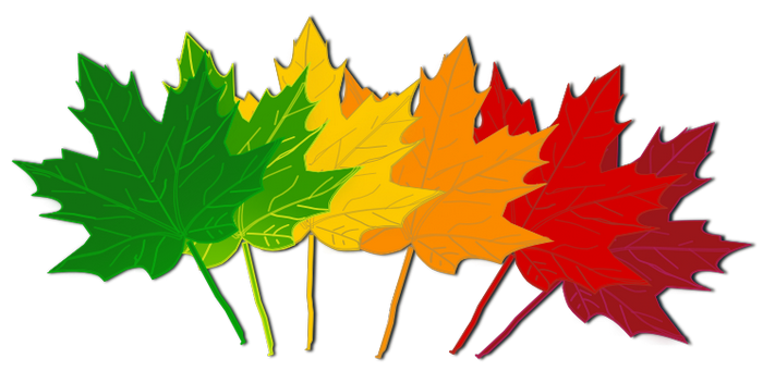 How about...: Fall Leaves Clip Art