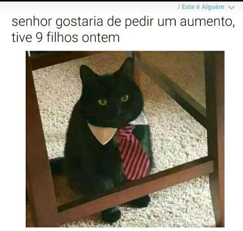 memes engraçados memes engraçados