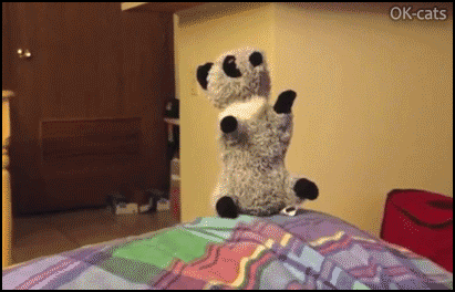 Captioned Cat GIF • Cat shows off his ninja skills by quickly jumping and catching his raccoon plush toy, haha. Captioned Cat GIF • Cat shows off his ninja skills by quickly jumping and catching his raccoon plush toy, haha.