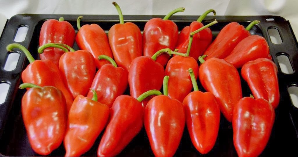 Carne De Cerdo Wikipedia La Enciclopedia Libre