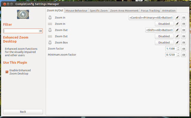howto enable desktop zoom in CCSM, Ubuntu 12.04, Ubuntu 12.10