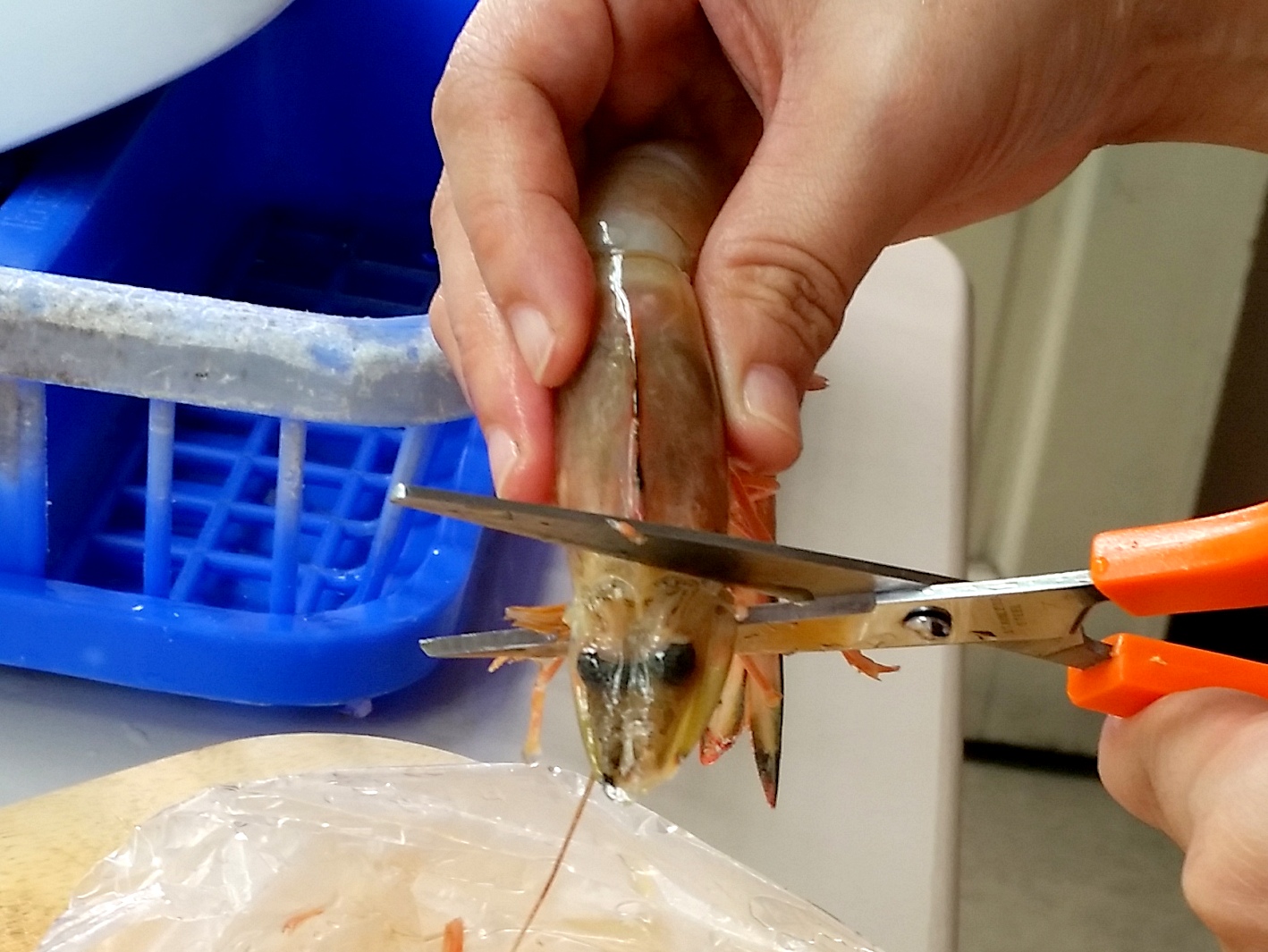 The Informal Chef How To Clean and Devein Shrimp (With Shell On)