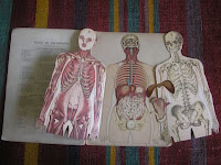 Anatomy Book, Feltbug@flickr