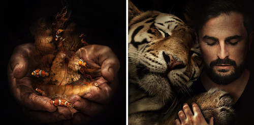 Digital Art by Marcel van Luit 00-Marcel-van-Luit-Digital-Art-Animals-Photos-www-designstack-co