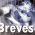 Breves. Conferencia sobre ajedrez en la escuela en el parlamento europeo