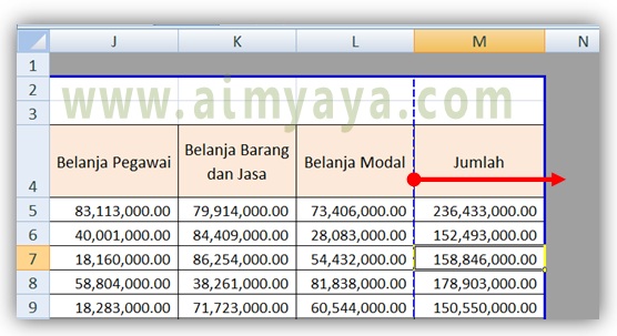  Gambar: Cara membuat hasil cetak menjadi 1 halaman/kertas melalui dialog Page Setup di Microsoft Excel