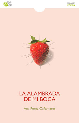 Resultado de imagen de ana perez cañamares la alambrada
