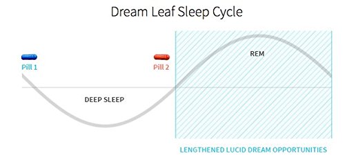 Advanced Lucid Dreaming Sleep Cycle Advanced Lucid Dreaming Sleep Cycle
