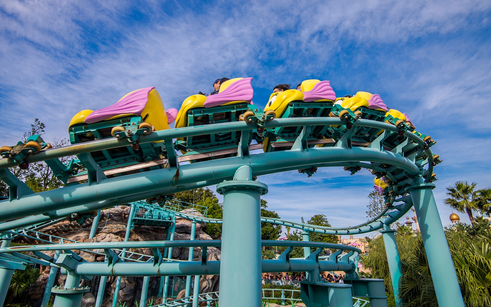 The Flying Fish Coaster