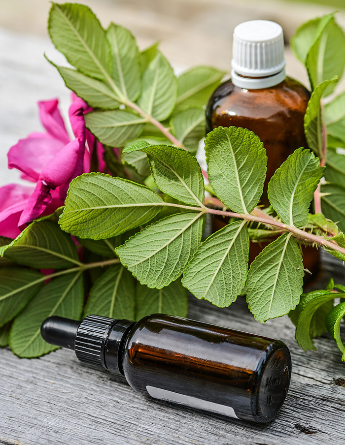 Best Essential Oils for Cold and Flu Everything Pretty