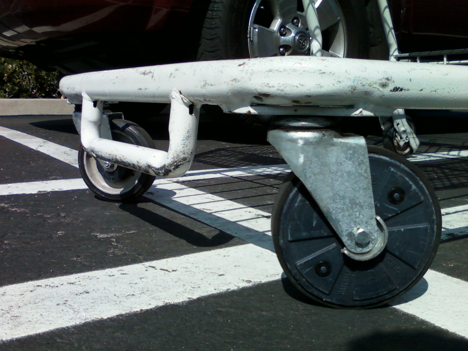 Periodic Musings Don't mess with Costco shopping carts!