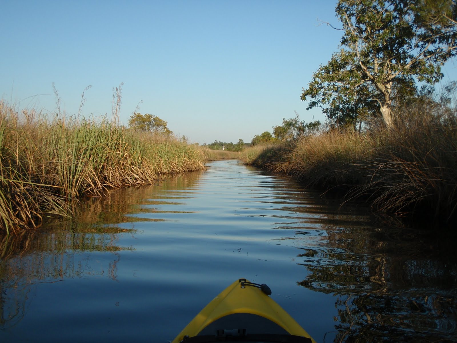 SOUTH KAYAK FISHING St. Marks, FL