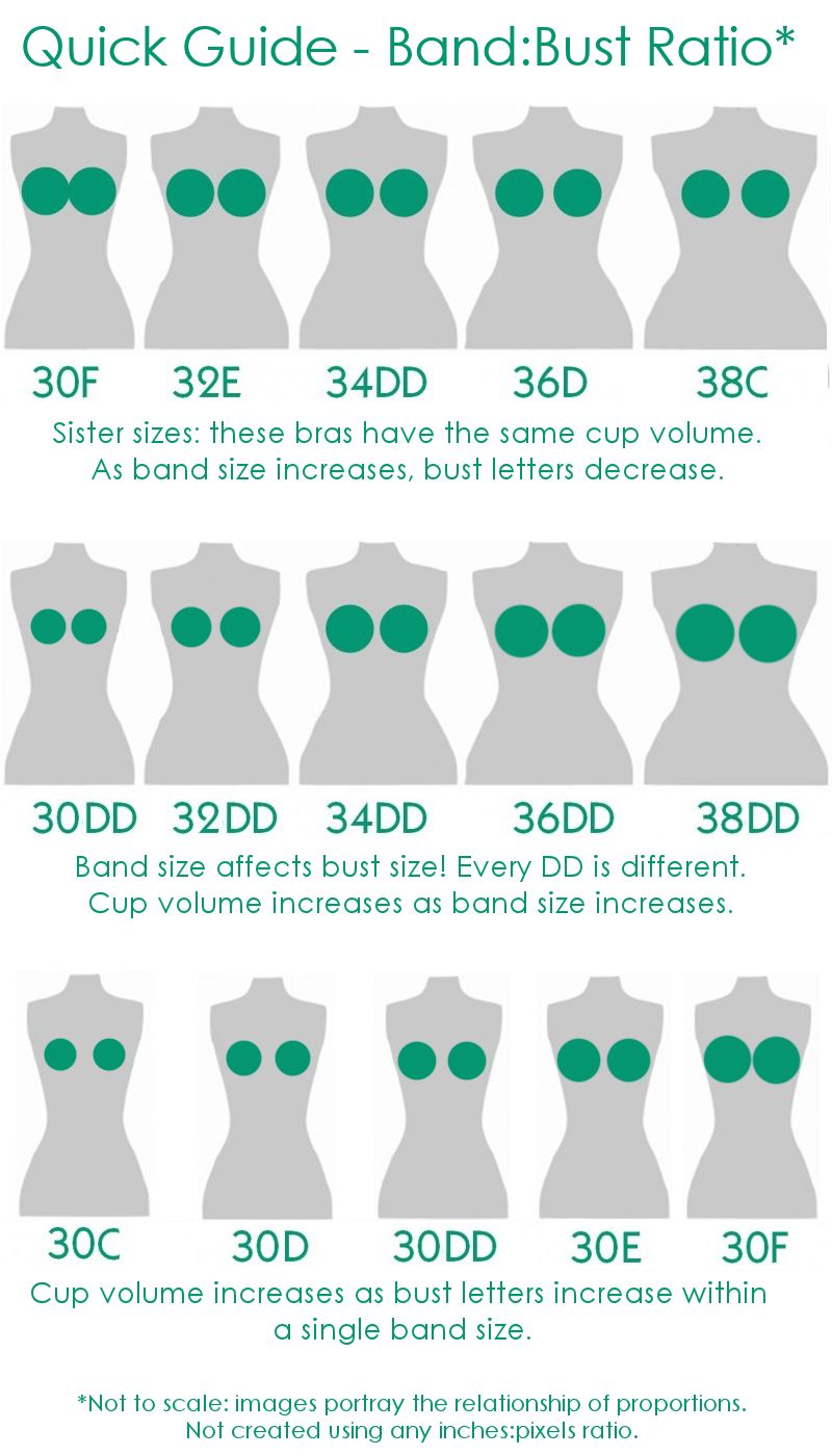 It's to illustrate how cup sizes look on different band sizes (i.e cup...