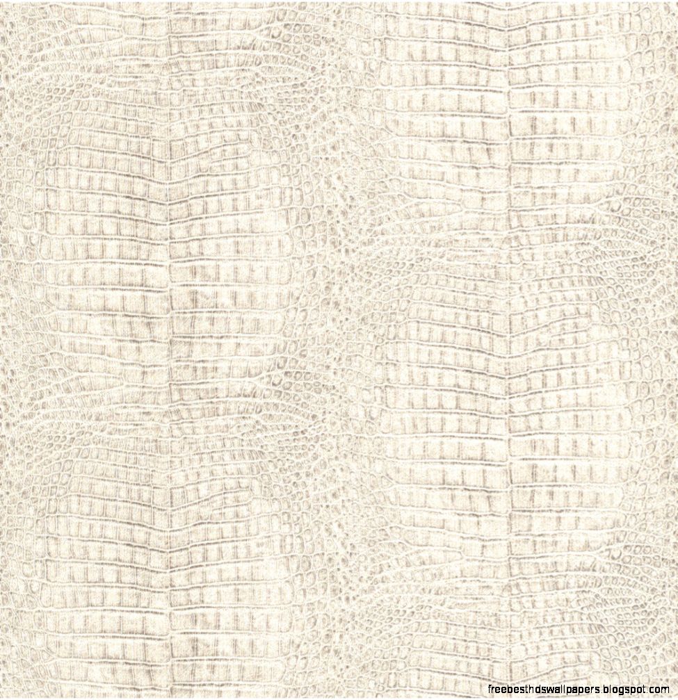 Animal Print Wallpaper  Wayfair