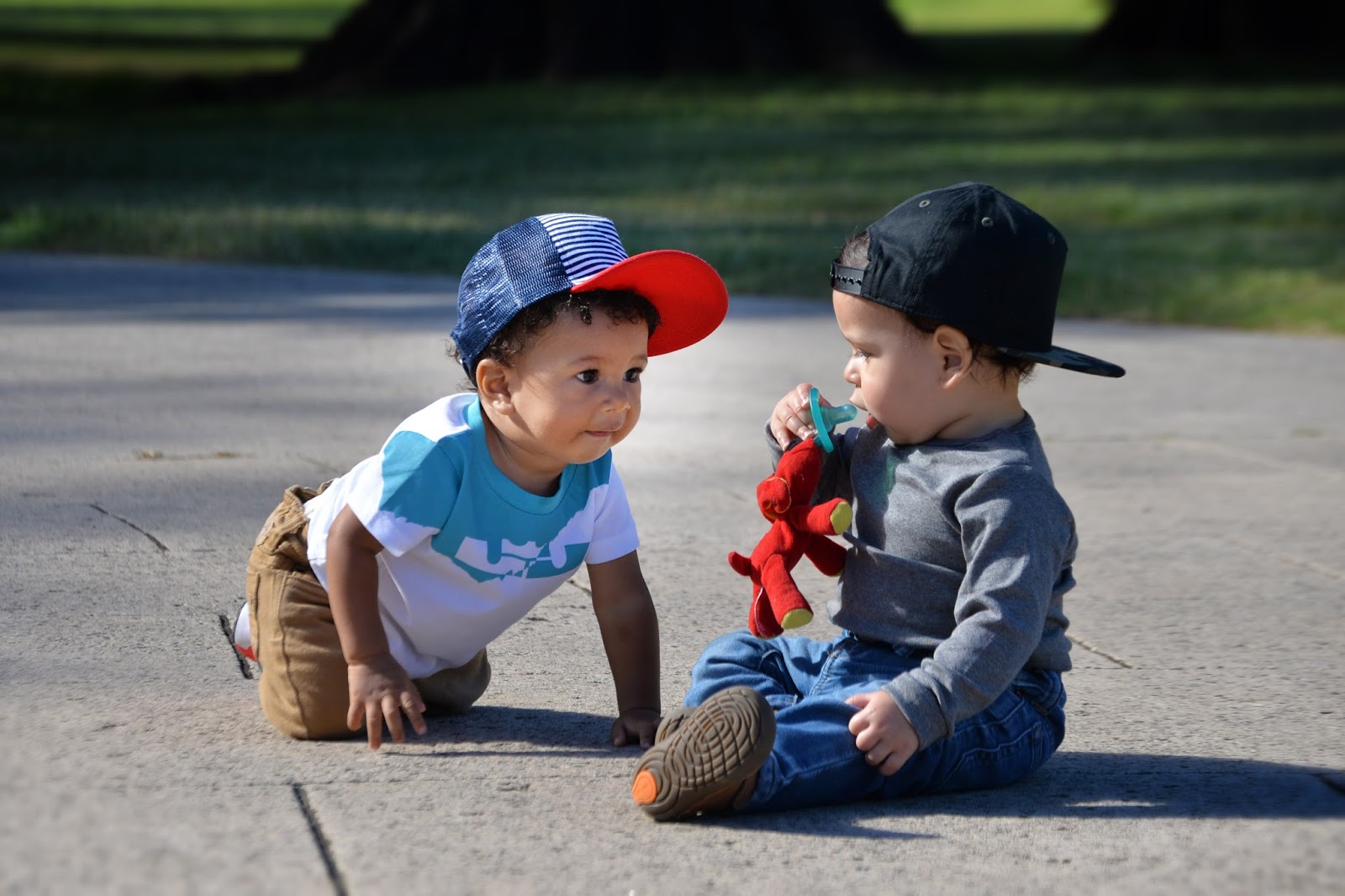 Tedeye Photography Binky Bro Reagan & Coronado