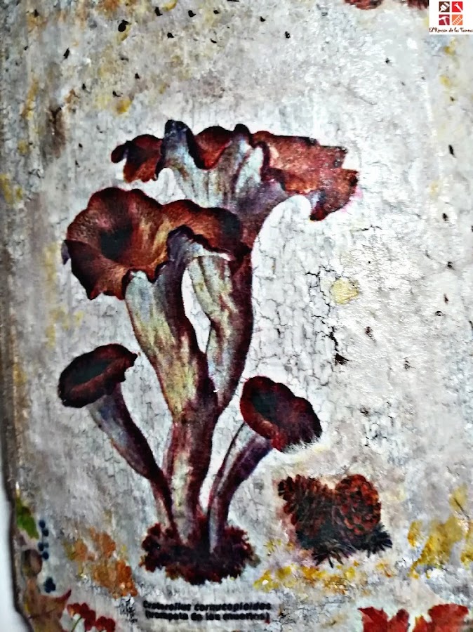 teja decoupage setas