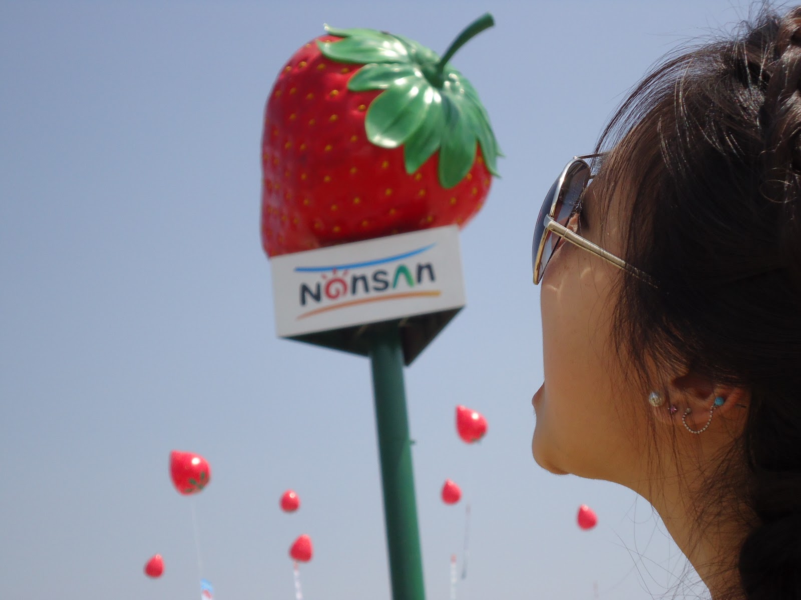 KRISTINE IN KOREA Nonsan Strawberry Festival