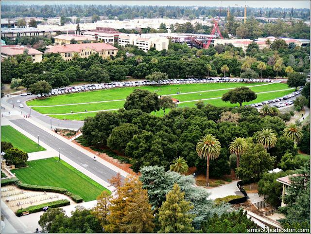 The Oval, Universidad de Stanford
