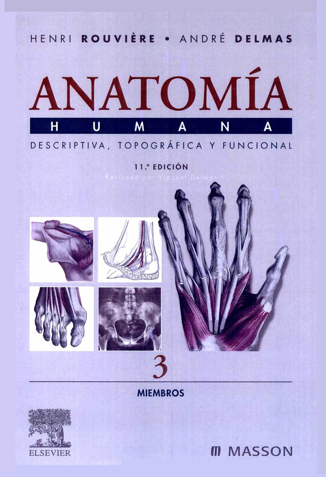 anatomia humana pdf anatomia humana pdf