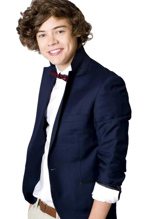 Harry Styles PNG Pictures - Free Photo Editing Effects ...