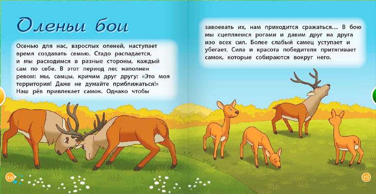 Непоседы: Журнал "Животные леса"