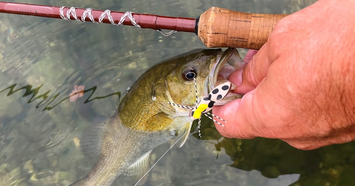 buggin-out-fly-tying-instructions-foam-flies-for-smallmouth-bass