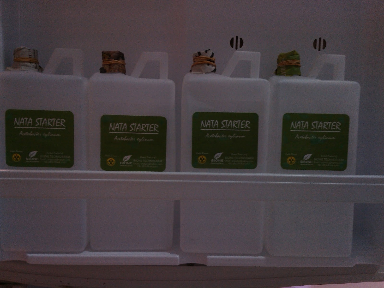 Nata Starter