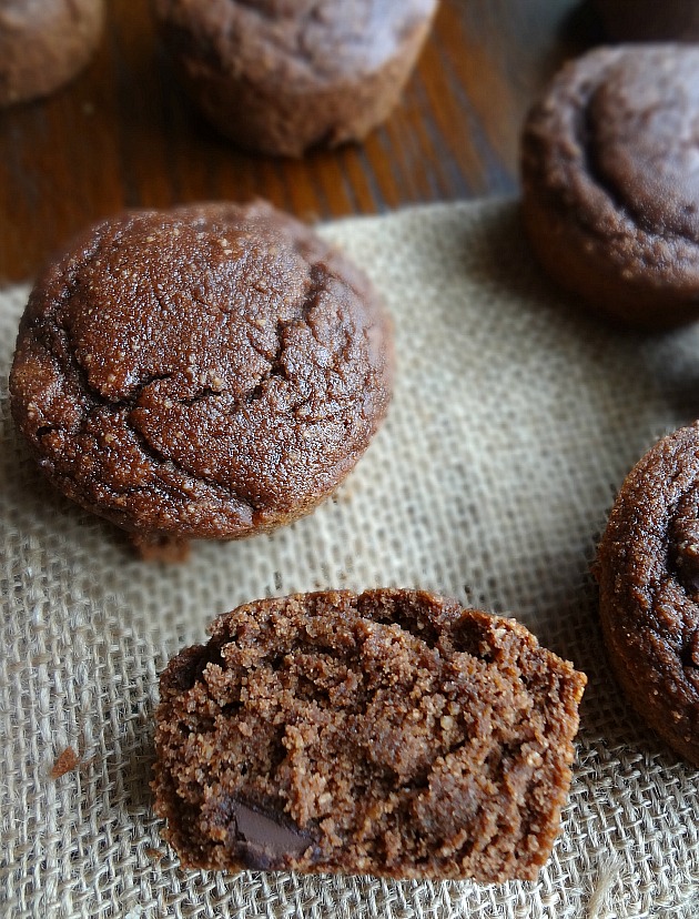 Double Chocolate Coconut Flour Muffins {Gluten-free, Dairy free, Paleo, Low fat}
