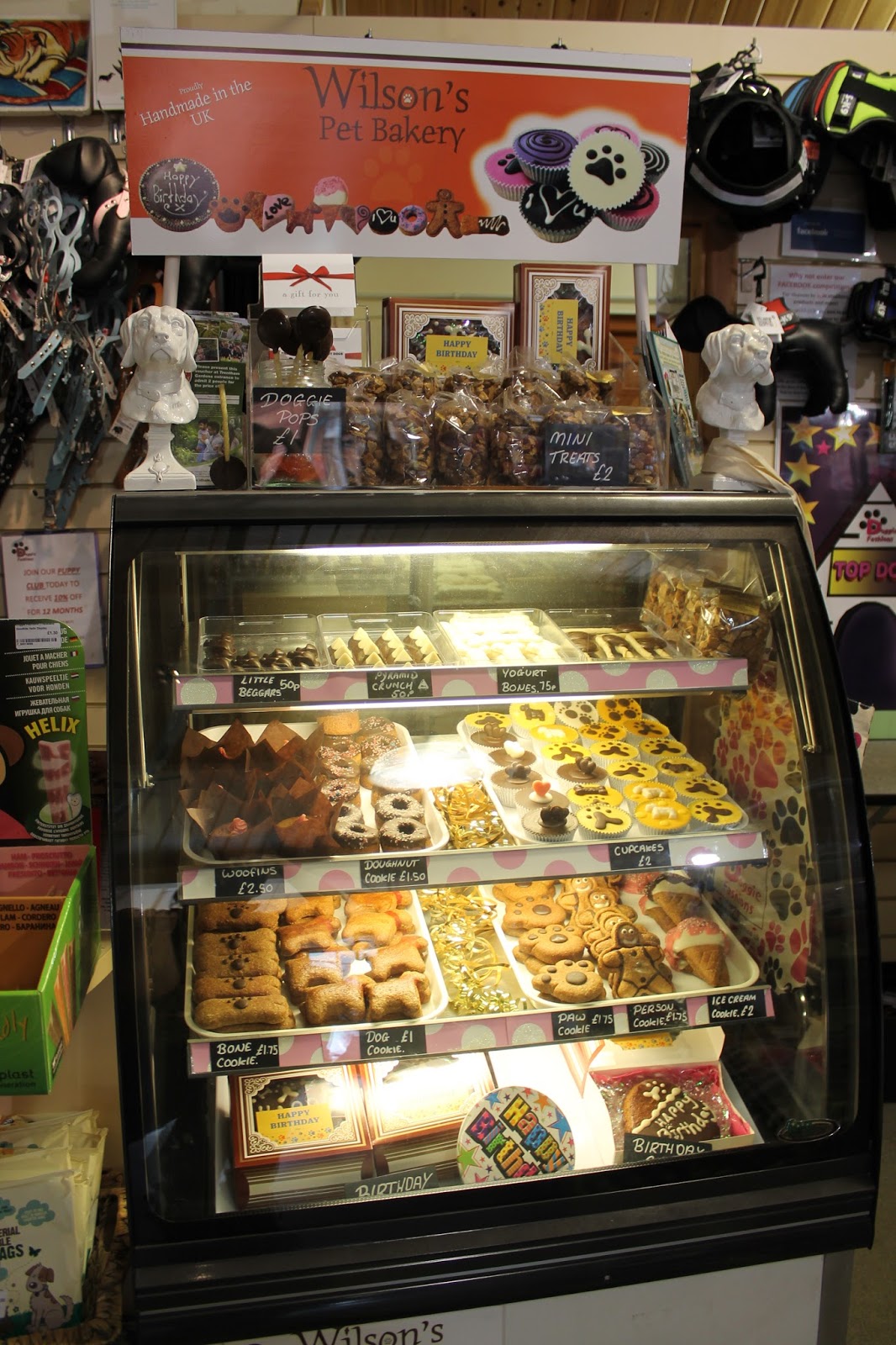 Doggie Fashions The Trentham Estate Staffordshire Paws across Britain