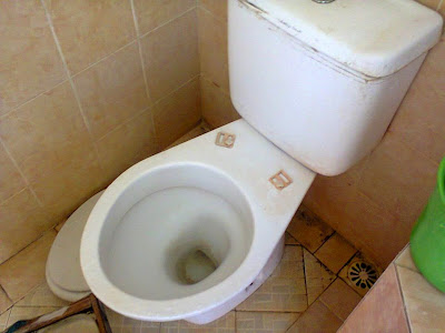 Hasil gambar untuk wc mampet
