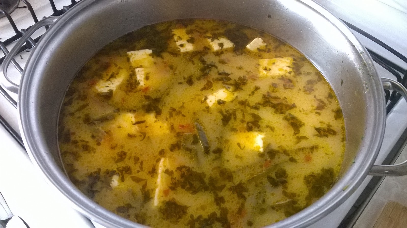 Laurel y su cocina Caldo de queso sonorense