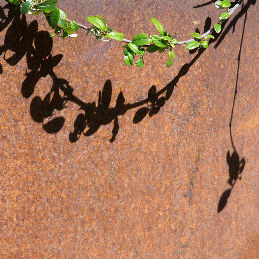 twig and its shadow on rust