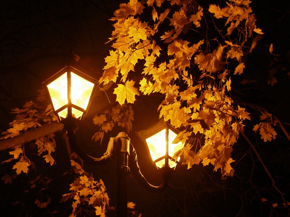Ночью по листьям стучал беспрерывно. Осенняя ночь. Осень вечер. Осенний вечер. Ночная осень.