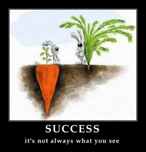 Success it`s not always what you see