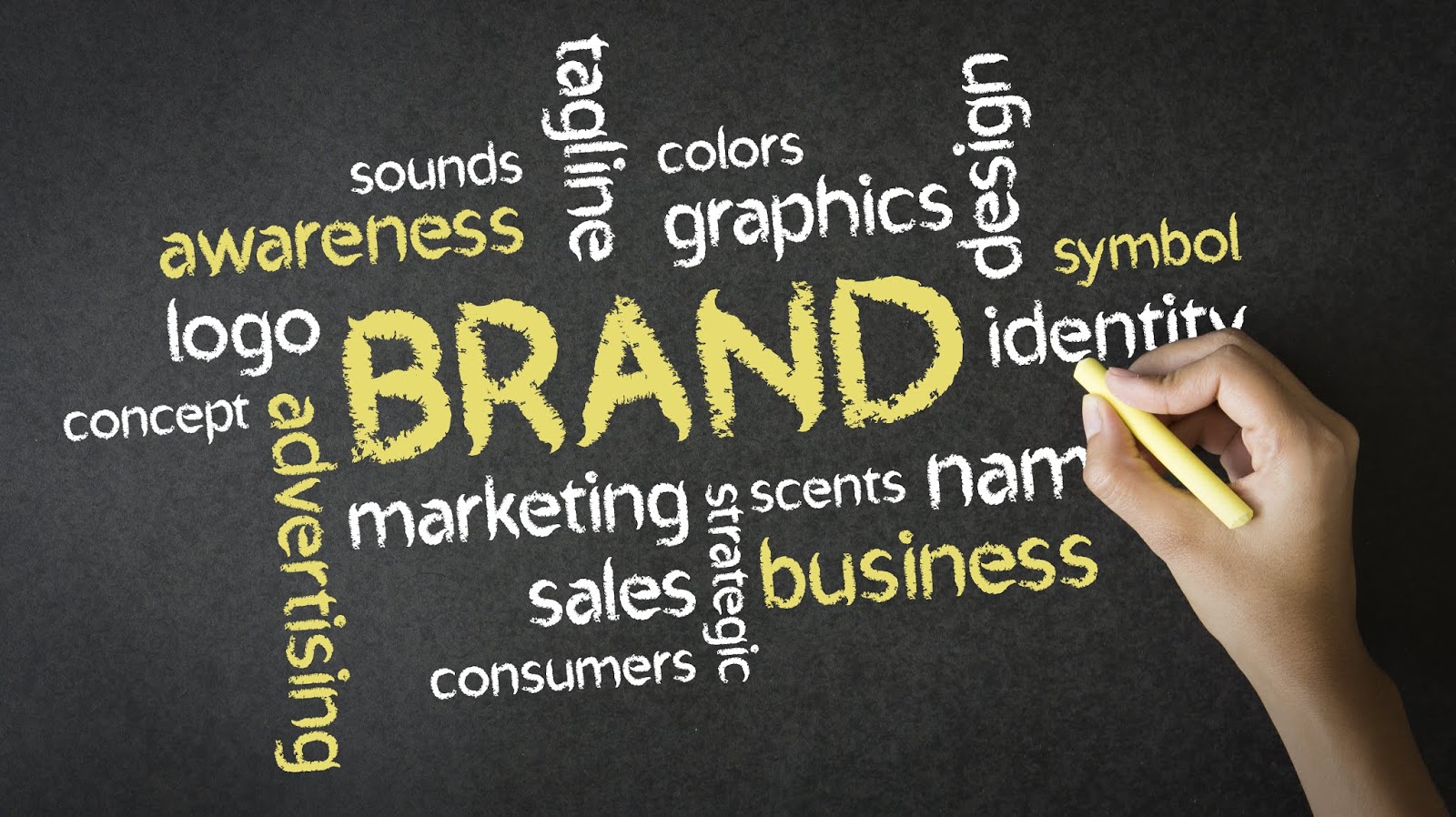 The 8 Components of Branding Your Startup Red Rocket Ventures Blog