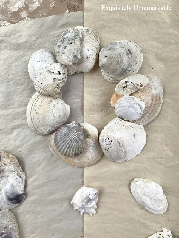 Making A Shell Ornament from beach shells