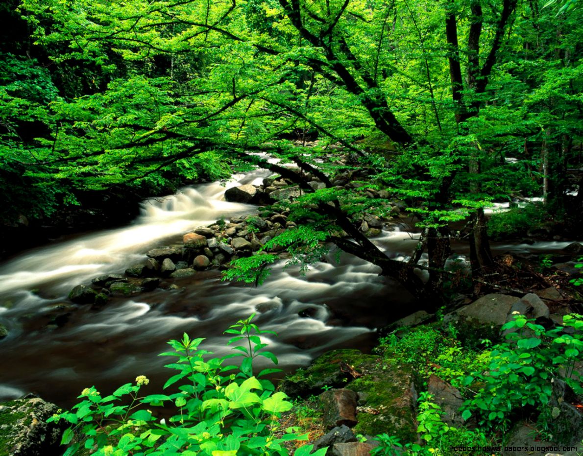 Images Nature Scenes Wallpaper  Free Best Hd Wallpapers