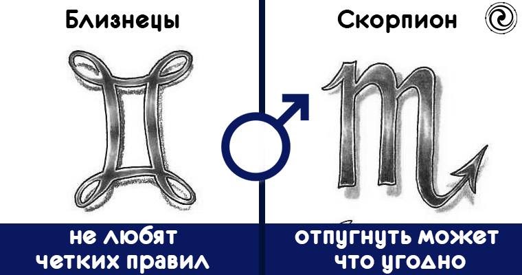 Совместимость знаков зодиака. Совместимость знако зз. Скорпион и близнецы проценты. Скорпион девушка и близнец мужчина. Козерог мужчина совместимость.