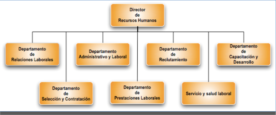 administración de recursos humanos organigrama departamental