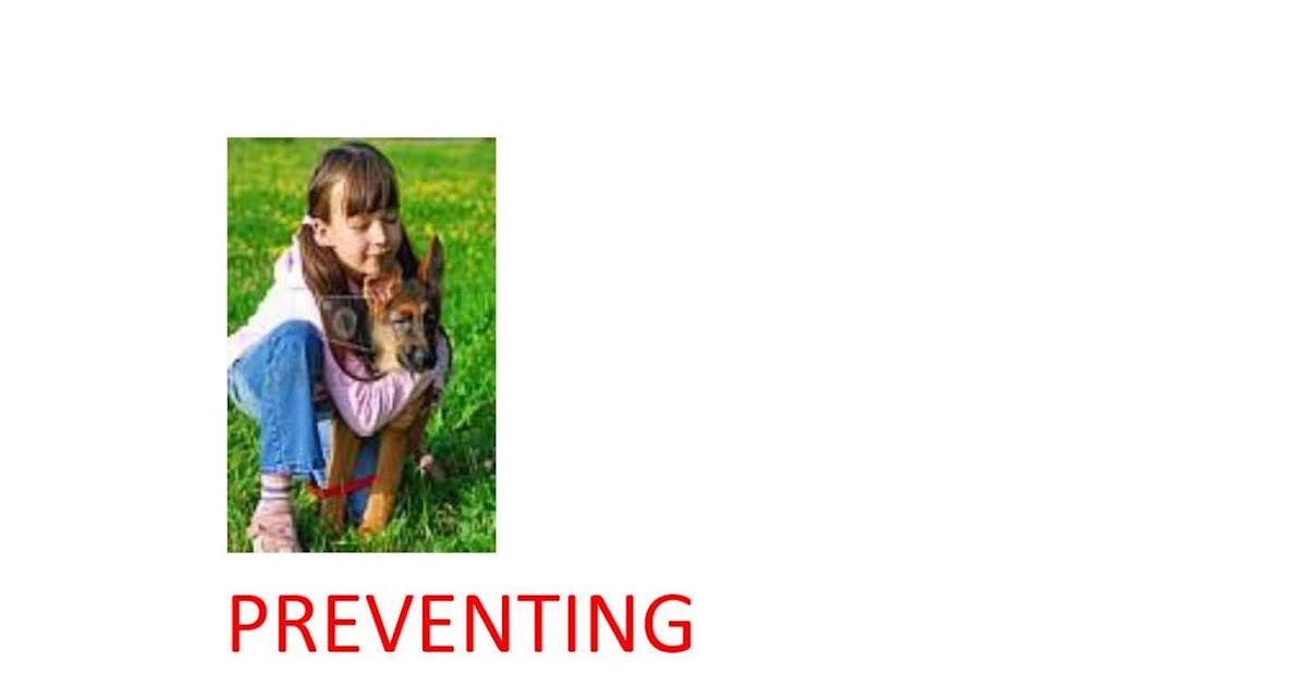 PREVENTING DOG BITES IN CHILDREN.