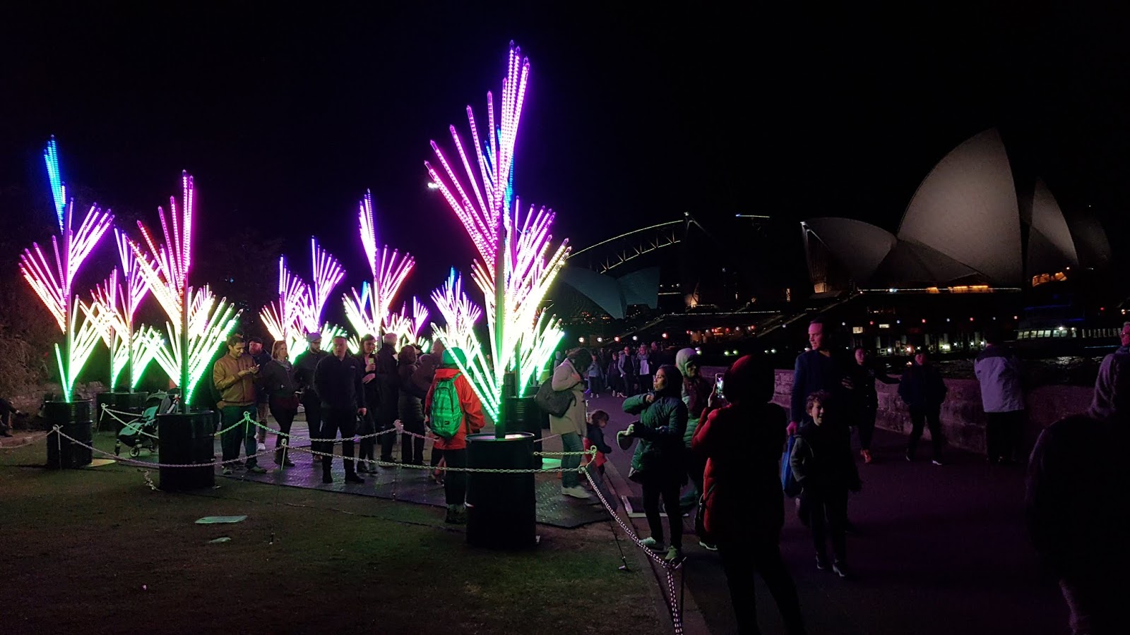 Sydney City and Suburbs Botanic Gardens, Vivid Sydney, The Nautilus Forest