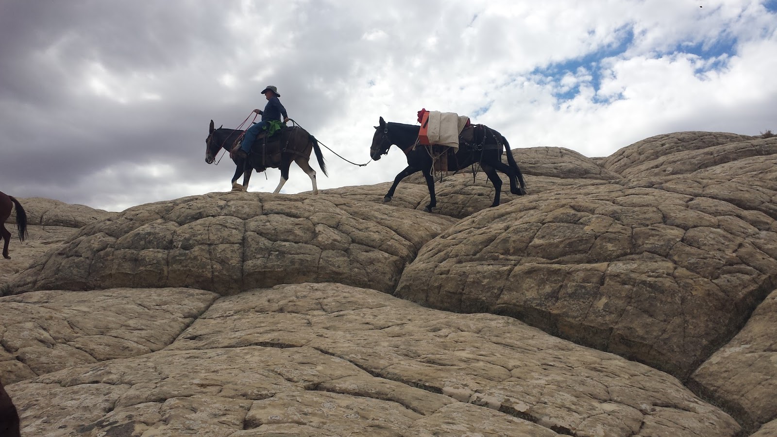 Mules and More Magazine The Boulder Mail Trail