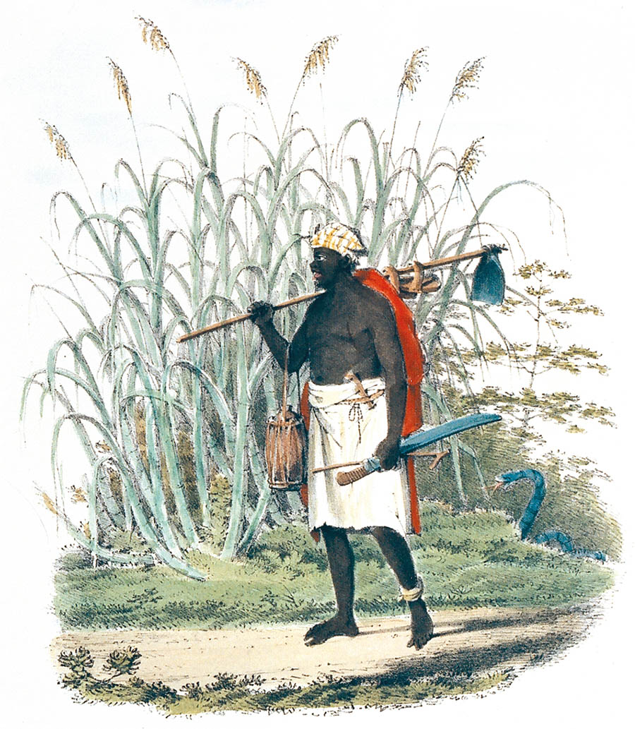 The Caribbean History Archives Sweet Sorrow The Timeline of Sugar in