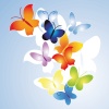 24112008-210421-Butterfly-2-vectorjunky.jpg