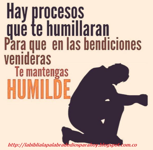 Reflexión sobre el Evangelio de MañanaSalmos1438