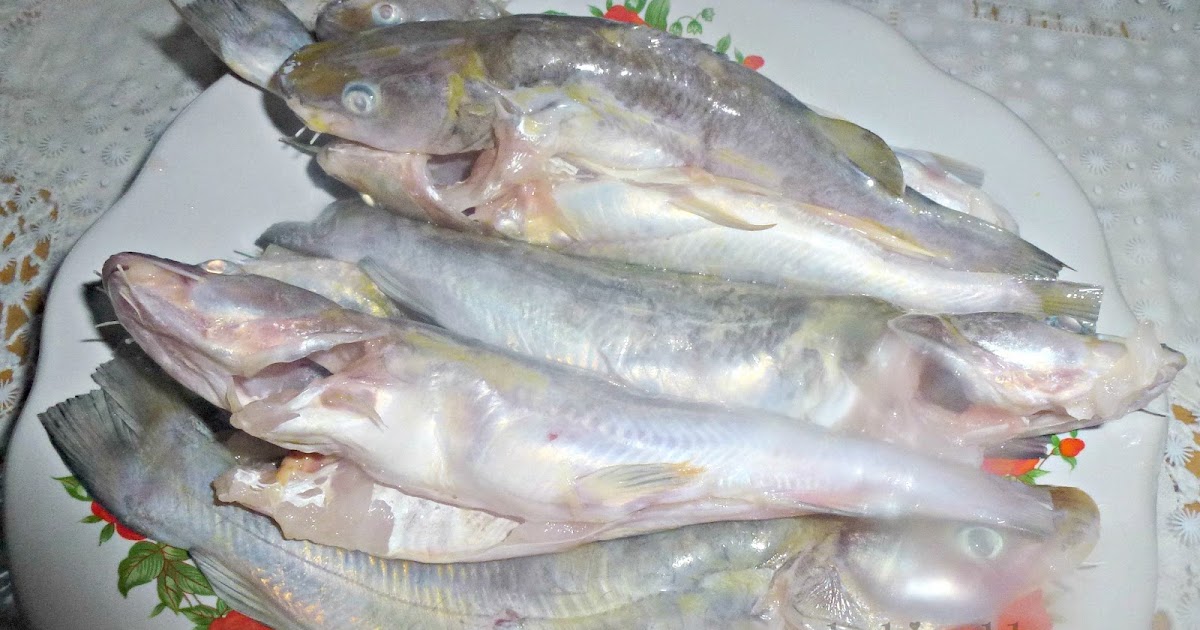 Tertunailah Hasrat Di Hati: Resepi Ikan Baung Masak Tempoyak