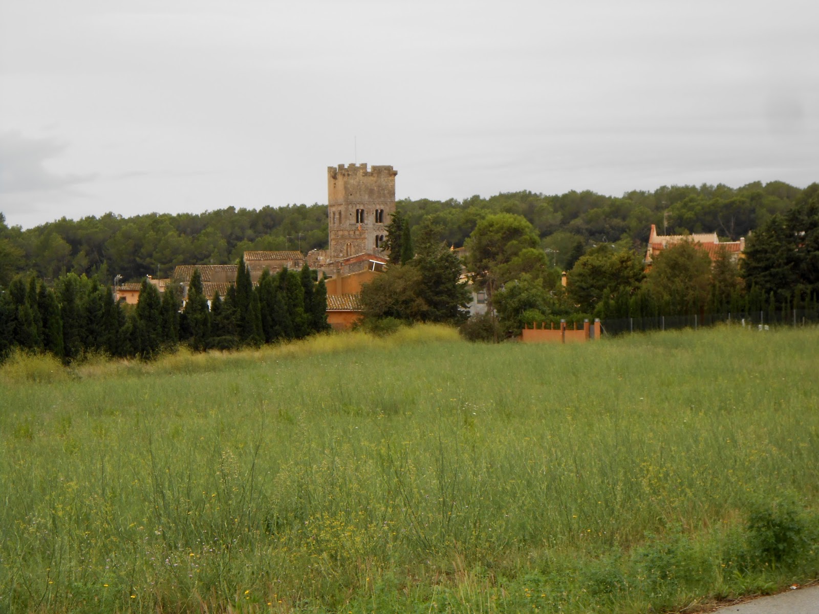 Catalunya comarca a comarca Sant Miquel de Fluvià